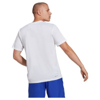 Adidas Train Essentials Training Tee M IC7430 (2XL)