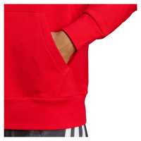 Adidas Essentials French Terry Big Logo Hoodie M IC9365 (L)