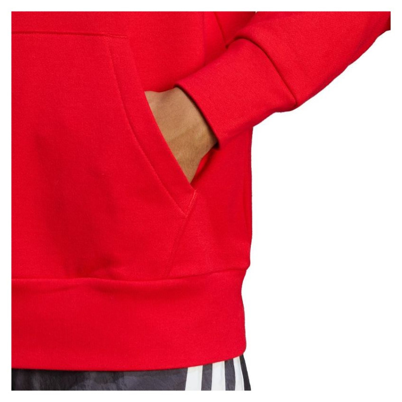 Adidas Essentials French Terry Big Logo Hoodie M IC9365 (L)