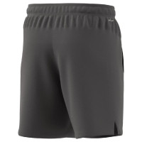 Adidas Train Essentials All Set Training M IA3902 shorts (2XL)