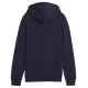 Puma Team Goal Casuals Hoddy Jr sweatshirt 658619 06 (140cm)