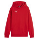 Puma Team Goal Casuals Hoddy Jr sweatshirt 658619 01 (116cm)
