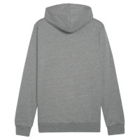 Puma Team Goal Casuals Hoody M 658618 33 (XL)