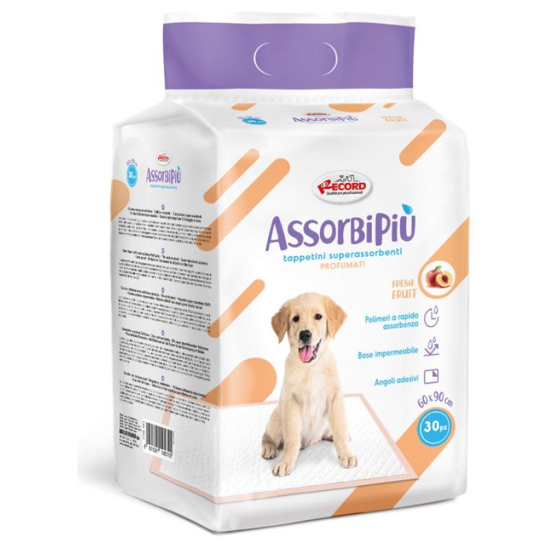 Record Paladziņ&scaron; AssorbiPiu PARFUMED 60x90cm 30gb.