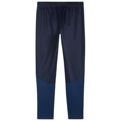 Puma Team Goal Training Pants M 658639 06 (XL)