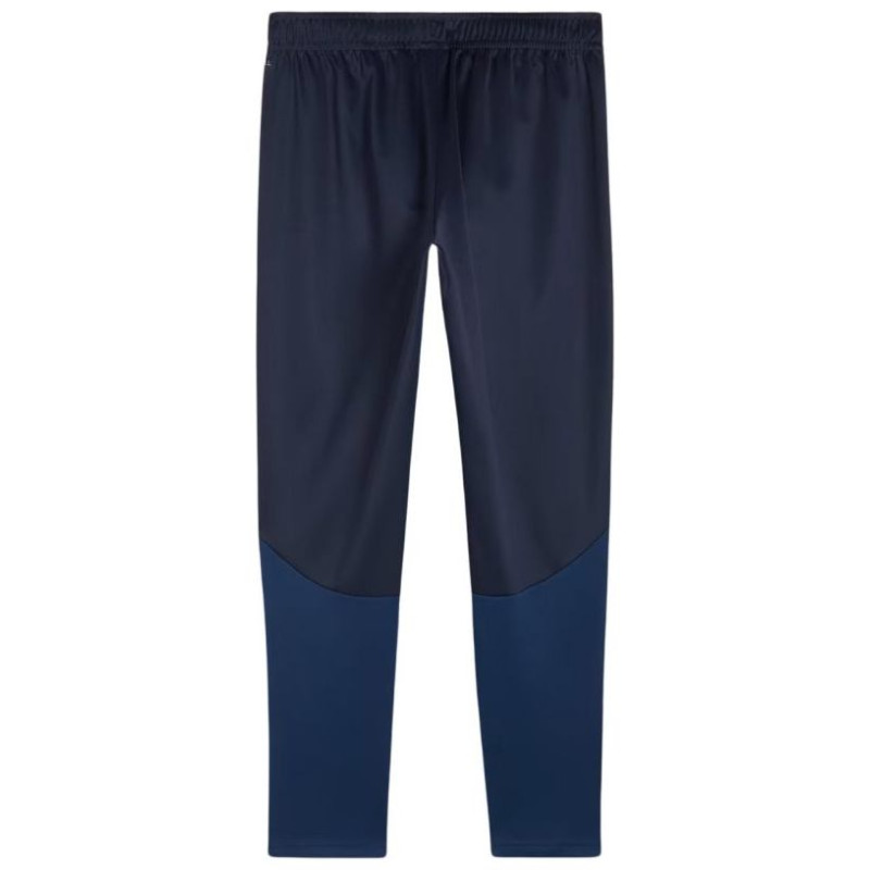 Puma Team Goal Training Pants M 658639 06 (XL)