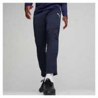 Puma Team Goal Training Pants M 658639 06 (XL)