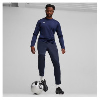 Puma Team Goal Training Pants M 658639 06 (XL)