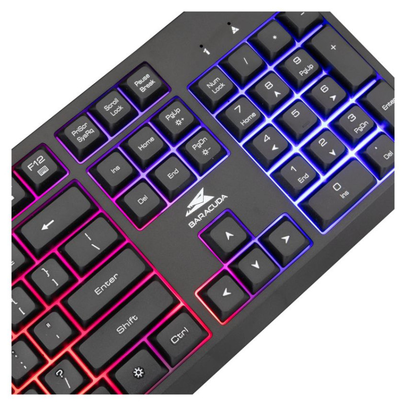 Baracuda BGK-02114 Starfish Black US