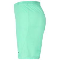 Nike Dry Park III NB KM Shorts BV6855 354 (L)