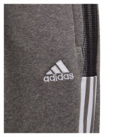 Adidas Tiro 21 Sweat Jr GP8809 pants (116cm)