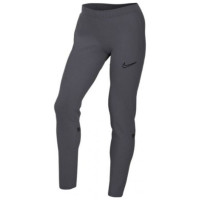 Nike Dri-FIT Academy W Pants CV2665-060 (M)