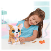 Furreal Interaktīvais dzīvnieciņš Poop-a-lots, Korgijs