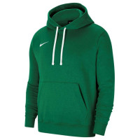 Nike Park 20 Hoodie Sweatshirt W CW6957-302 (L)