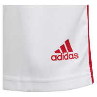 Adidas Shorts adidas Squadra 21 Jr GN5763 (164 cm)