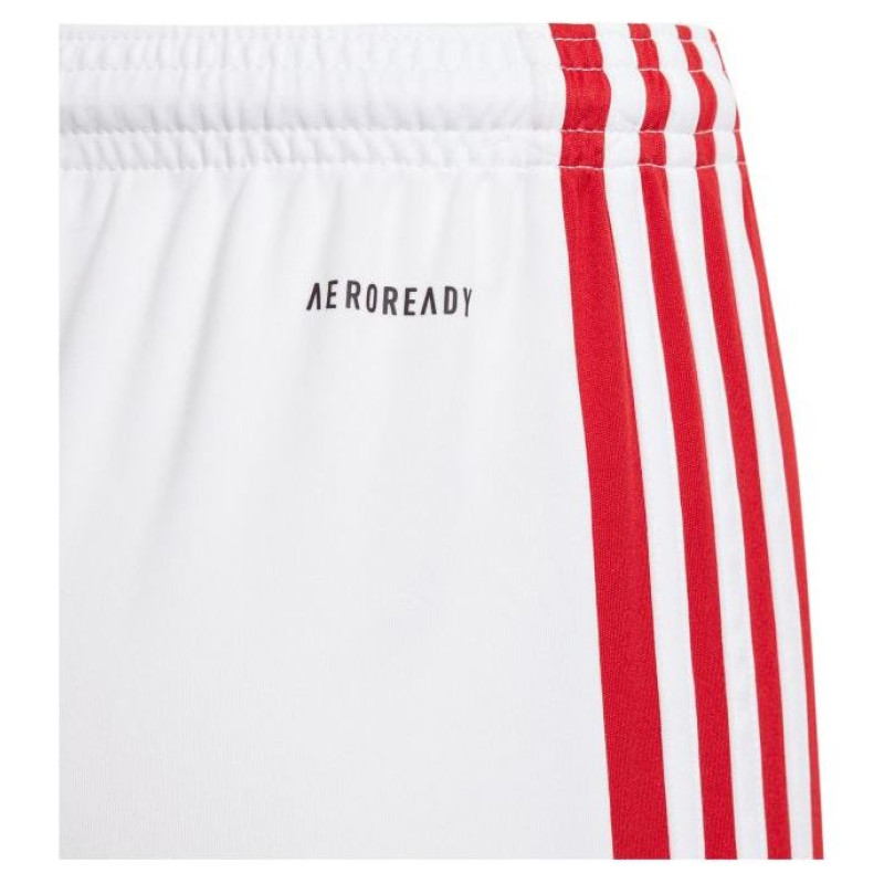 Adidas Shorts adidas Squadra 21 Jr GN5763 (164 cm)