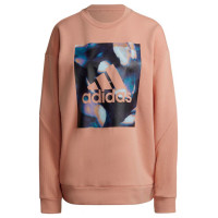 Adidas Youforyou Sweatshirt W HA2431 (XS)