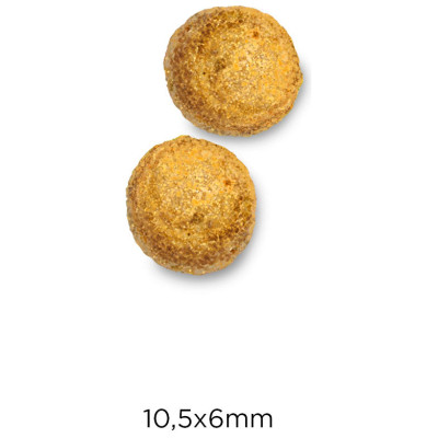 Optimanova Cat Sterilised Chicken & Rice 6 kg