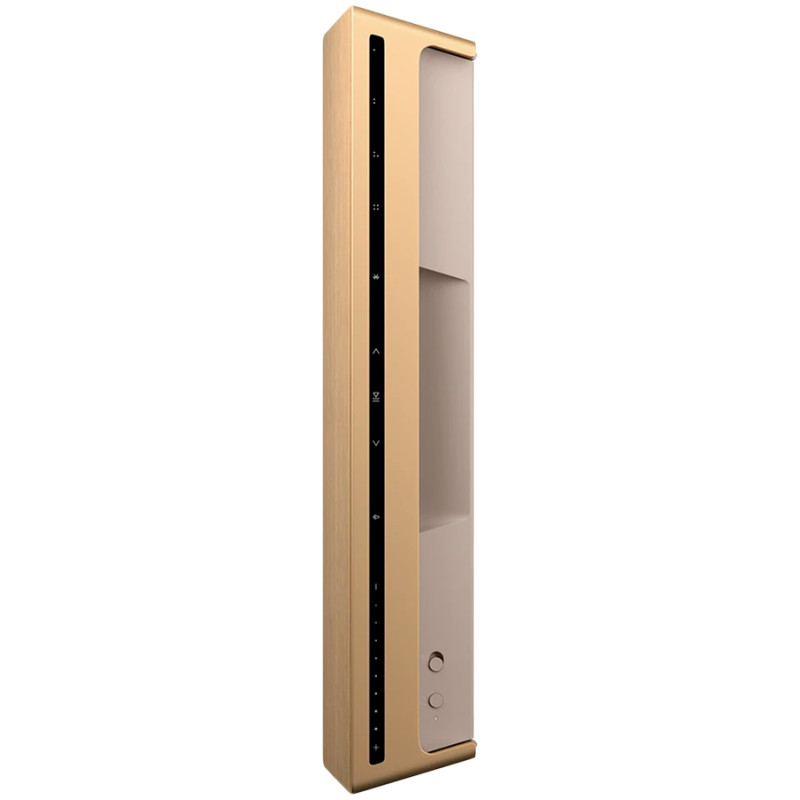Bang & Olufsen Beosound Level Speaker Gold Tone Alu (Cover Light Oak)