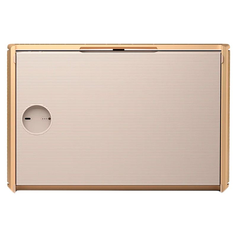 Bang & Olufsen Beosound Level Speaker Gold Tone Alu (Cover Light Oak)