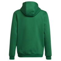 Adidas Sweatshirt adidas Entrada 22 Hoody Y Jr HI2143 (164 cm)