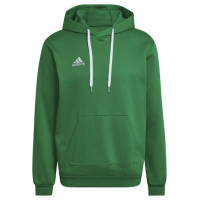 Adidas Entrada 22 Sweat Hoodie M HI2141 (L)