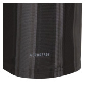 Adidas Tee adidas Striped 21 Jr GN7634 (164)