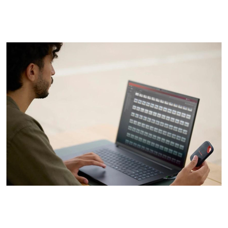 Sandisk External SSD|SANDISK|Read speed 2000 MB/s|4000 GB|SDSSDE70-4T00-G25