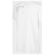 4F T-shirt 4F W H4Z22-TSD025 10S (L)