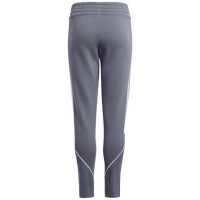 Adidas Pants adidas Tiro 23 League Sweat Jr. HZ3020 (152cm)