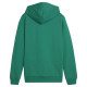 Puma Team Goal Casuals Hoddy Jr sweatshirt 658619 05 (128cm)