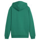 Puma Team Goal Casuals Hoddy Jr sweatshirt 658619 05 (128cm)