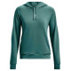 Under Armour Under Armor Rival Terry Hoodie W 1369855-722 (m)