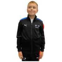 Puma BMW MMS Jr 535908 04 sweatshirt (164)