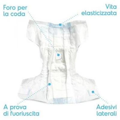 Record Autiņi suņiem AssorbiPiu M 12gb.