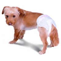 Record Autiņi suņiem AssorbiPiu M 12gb.