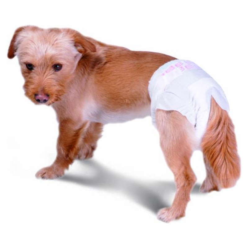 Record Autiņi suņiem AssorbiPiu M 12gb.