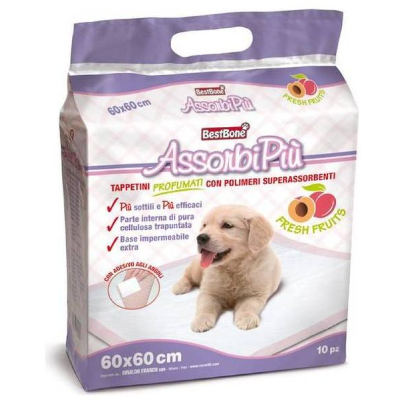 Record Paladziņ&scaron; AssorbiPiu PARFUMED 60x60cm 10gb.