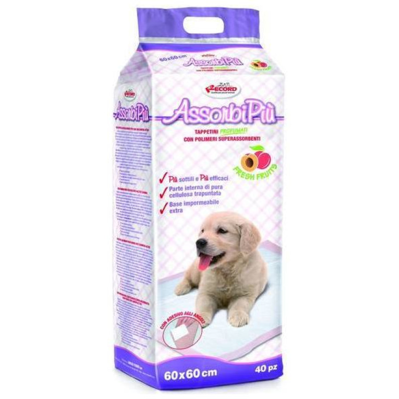 Record Paladziņ&scaron; AssorbiPiu PARFUMED 60x60cm 40gb.