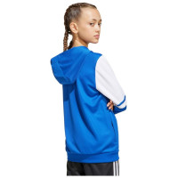 Adidas Squadra 25 Hoodie Jr JD4802 sweatshirt (164 cm)