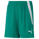 Puma teamLIGA Shorts Jr 704931 05 (116 cm)