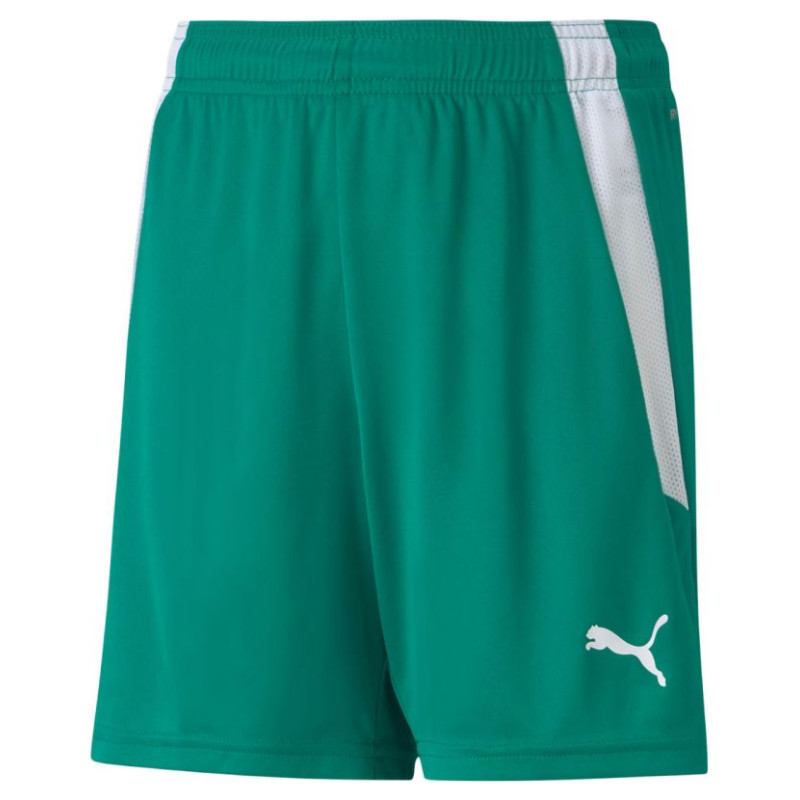 Puma teamLIGA Shorts Jr 704931 05 (116 cm)