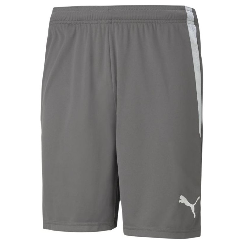 Puma teamLIGA M 704924 13 shorts (M)
