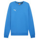 Puma Team Goal Casuals Crew Neck Sweat M 658592 02 (XL)