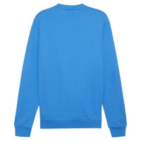 Puma Team Goal Casuals Crew Neck Sweat M 658592 02 (XL)