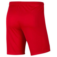 Nike Dry Park III M BV6855-657 shorts (XXL)