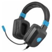 Fury Raptor RGB Black