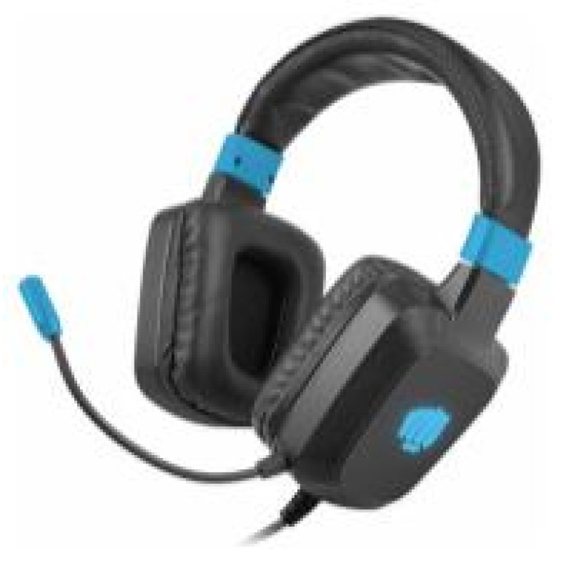 Fury Raptor RGB Black