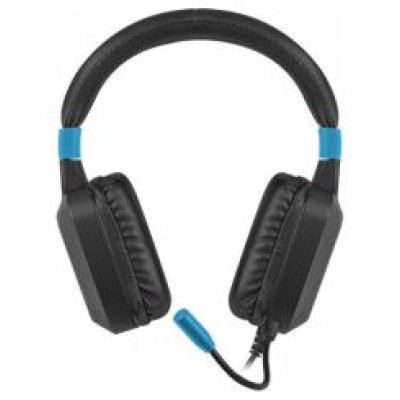 Fury Raptor RGB Black