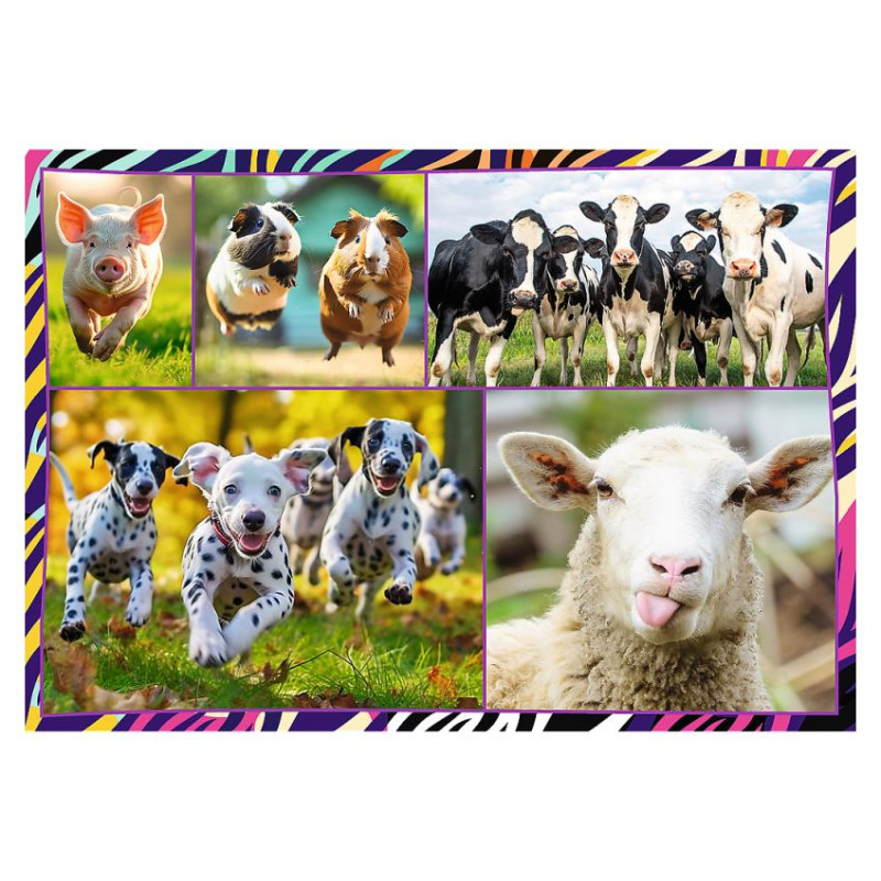 Trefl Pužļu komplekts Smieklīgie dzīvnieki 4x250 gab.